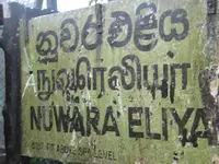 Ceylon 2010 (1230).webp Ceylon 2010 (1230).webp