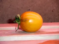 tomato_huan_u.webp