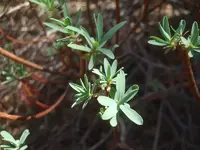 k-DSCF0079.webp