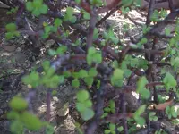 k-DSCF0080.webp