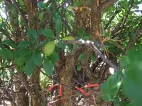 k-DSCF0081.webp