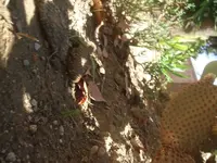 k-DSCF0082.webp