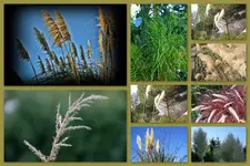 Herbst30.webp