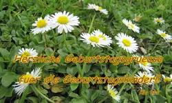 Geburtstag.webp