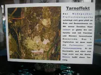 Urlaub 2011 234.webp