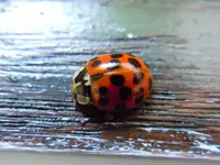 012.webp