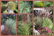 Herbst33.webp
