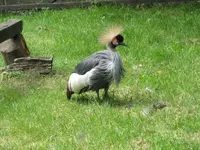 Bild 907.webp