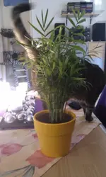 IMAG0399.webp