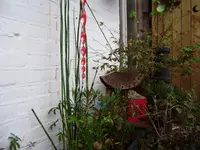 balkon-sommer2011 002.webp