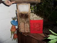 balkon-sommer2011 021.webp