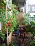 balkon-sommer2011 006.jpg