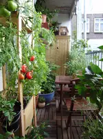 balkon-sommer2011 006.webp