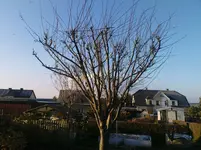 DSC00577.webp