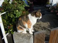 21-10-11-Mieze279.webp