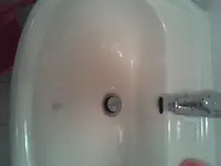 Foto011.webp