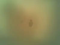 Foto009.webp