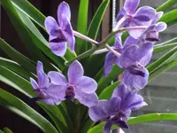 DSCF1316.webp