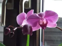 DSCF1317.webp