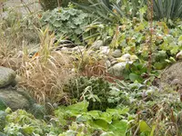 DSCN0984.webp