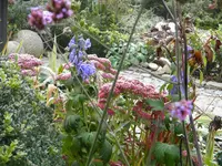 DSCN0986.webp