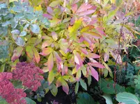 DSCN1036.webp