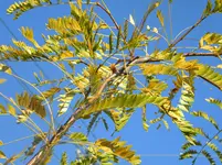 DSCN1039.webp
