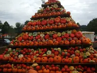 k-DSCF0185.webp