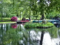 ALIM0990.webp
