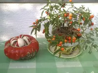 Herbst.24.10.2011.webp