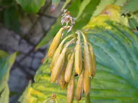 DSCN1074.webp