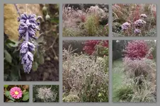 Herbst38.webp