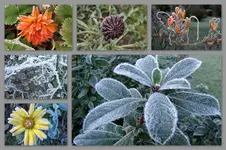 Herbst39.webp