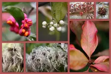 Herbst43.webp
