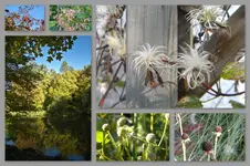Herbst44.webp