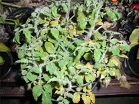 indoor01.webp