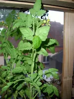 indoor03.webp
