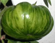 indoor06.webp