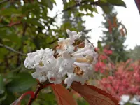 eiszeit_003_1.webp