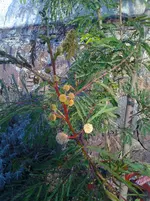 Foto0039.webp