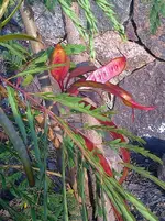Foto0040.webp