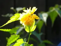 DSCN1014.webp