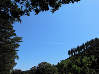 tn_IMG_7281 v.webp