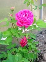 IMG_5503.webp