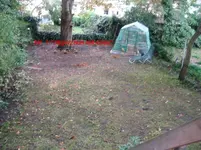 IMG_5749-1.webp