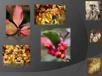 herbst.webp