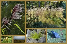 Herbst48.webp