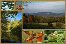 Herbst49.webp