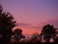 015.webp