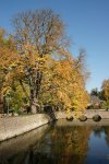 Herbst_2011_2_DSC05918.JPG